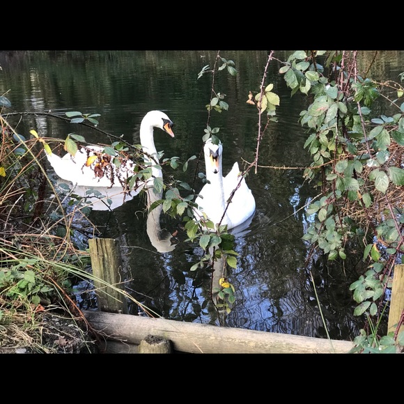 Welcome! - Picture 1 of 1